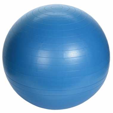 Camping grote blauwe yogabal met pomp sportbal fitnessartikelen 75 cm kopen