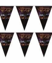 Camping 2x halloween decoratie vlaggenlijn met pompoenen 250 cm kopen